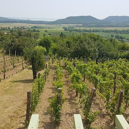 Grand Cru 4 Vendeghaz Villa Hegymagas Ngoại thất bức ảnh